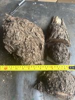 Acacia Burrs,acacia Burl,x4,burr Wood,x4