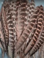 20 Wings Pheasant feathers.