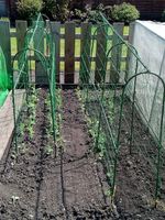 Easynets Arched Pea Support Frame 