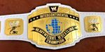 Intercontinental Heavyweight Championship Wrestling Replica Belt White BRASs/ZIN