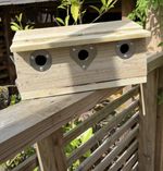 Sparrow Nest Bird Box Wooden Roosting Nesting Terrace Colony House