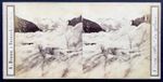 Adolphe Braun, Mer De Glace (1036), Switzerland, Albumen Print Stereograph