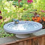 Shenstone Theatre Bird Bath