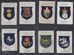 PHILLIPS (SILK) - COUNTY CRICKET BADGES (BDV) - FULL SET OF 17 CARDS