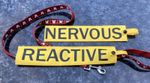 HIGHLY VISIBLE DOG LEAD SLEEVE NERVOUS REACTIVE ANY TEXT GREEN YELLOW BLUE BLACK