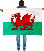 Large Wales Flag With Wearable Sleeve Welsh Sports Football Fan Support