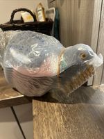 12 Pack Pigeon Decoy Shells With Stakes Brand New 