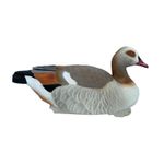 FA-255268 Egyptian Goose Floater - 6 Pack - from Final Approach