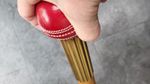 Cricket Walking Stick made out of a Stump and Cricket Ball
