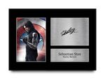 Sebastian Stan Signed Bucky Barnes Printed Autograph Photo Memorabilia Gift
