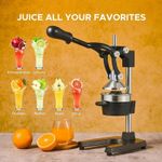 Manual Juicer Cast Iron Citrus Juice Extractor Fruit Orange Squeezer Hand Press