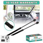 2x FOR BMW 3 SERIES E91 (2004-2012) ESTATE TAILGATE BOOT GAS STRUTS