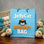 JellyCat Mystery Blind Bag 📦