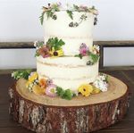 Log cake stands, wooden log wedding / celebration cake stands,  real wood slices