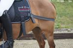 BungeeBand Saddlepad, Equine Band, Core Trainer, Equi Trainer, Equine Core Pad