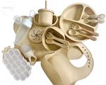 Nestify Baby 16 Piece Silicone Baby Feeding Set – Baby Led Weaning, UK SELLER