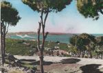 LEBANON Old Rare Postcard Showing Bab Edriss- Seyour Market in Beirut 1956