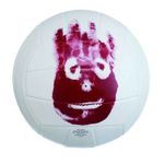 Mr Wilson Mini Castaway Volleyball
