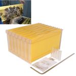 7PCS Upgraded Auto Flow Honey Beekeeping Beehive Bee Comb Hive Frames Harvesting