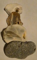 Hag Stones x4 Adder Stones Charmouth Natural Stones - Pendant Size