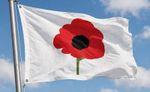 Poppy Small Flag (3ft x 2ft)