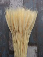 100 STEMS DRIED FLOWERS WHEAT/RYE WEDDING VENUE BIRTHDAY CHRISTMAS BLEACHED 20"