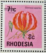 RHODESIA 1976 SG526 8c. ON 7½c. FLAME LILY  -  MNH