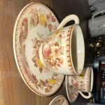 Fruit Harvest Ceramic Cup & Saucer Set Painted Fruit Pattern Decorated
