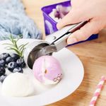 Premium Stainless Steel Ice Cream Scoop with Trigger Heavy Duty Non-stick