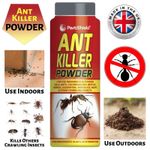 PestShield Ant Killer Powder Indoor & Outdoor Cockroaches Beetles Insects 150g