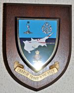 C Troop 9 Signal Regiment Royal Corps of Signals mess wall plaque Cyprus