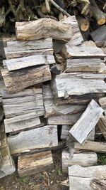 2 Yr Old Dry Firewood Priced Per Bulk Bag,£120 