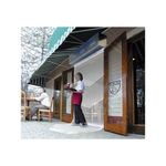 Curtron E-IBD-42-1 Insect Back Door Air Curtain, 42", Un-Heated, 3/4 hp Motor...
