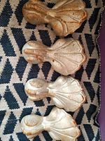 Cast Iron Silver Bathtub Claw Feet Set of 4 Salvage Reclaimed
