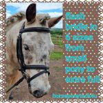 PADDED PREMIUM LEATHER BRIDLE WITH FLASH RUBBER REINS SMALL PONY TO EXTRA FULL