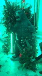 Black Bear Lifelike Statue Realistic Lifesize Prop