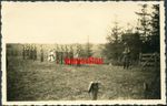 F8/7 WW2 ORIGINAL PHOTO OF GERMAN WEHRMACHT RAD SOLDIERS OATH CEREMONY