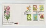 Zimbabwe 1994 Export Flowers of Zimbabwe per scan with insert .. envelope closed