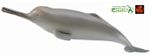 Ganges River Dolphin Sealife Toy Model Figure by CollectA 88611 Brand New