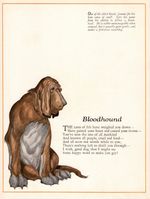 1920s Antique Bloodhound Print Poem Poetry Print Wessell Bloodhound Art 6134t