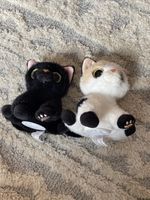 Pets Alive Smitten Kittens x 2