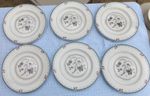 Royal Doulton Old Colony  Plates 9 Inch Set of 6    £29.99(Free Post UK)