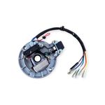 Magneto Stator Plate 12V for Honda C50 C70 C90