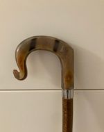 Lovely COW Horn crook HANDLE on Hazel ,Walking and Hiking stick.