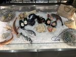 Commercial Fish and Seafood Display manufactured by XL Refrigeration 