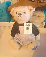 Steiff The Sound of Music Mohair Teddy Bear Medium 35-60cm MPN 682919