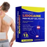 Pain Relief Patch 20 Pieces Patches for Muscle & Joint Pain，knee Shoulder Care