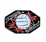 Lot of 9 Volleyball Color Aluminum Plates Decor Sew-On Badge 2.5 x 1.5"