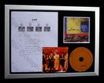 JAMES Laid LTD TOP QUALITY FRAMED MUSIC CD DISPLAY+EXPRESS GLOBAL SHIP+SIT DOWN