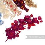 'Ella' Silk & Organza Wired Flower Branch Millinery Hat Mount